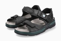 Color – Black 5700