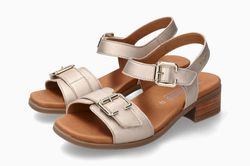 Color – Platinum