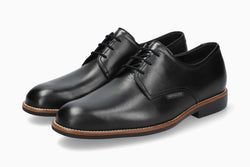 Color – Black HOP32600