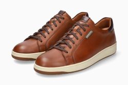 Hazelnut 6158