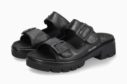 Black 7800