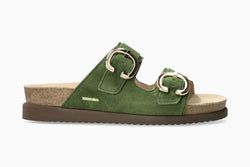 Color – Olive 360P