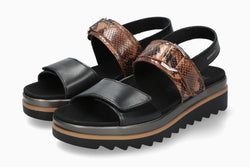 Color – Black Boa