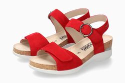 Scarlet 12241