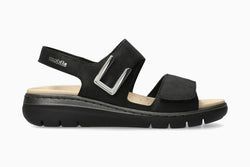 Color – Black 8100