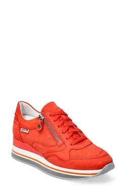 Color – Cranberry 6962