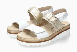 Color – White
