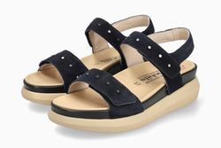 Color – Navy 12245