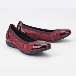 Color – Wine 4270/17674