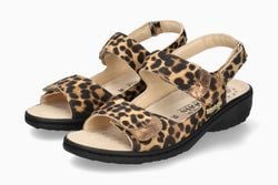 Color – Brown Bengal 46158/37