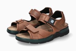 Color – Chestnut 1535