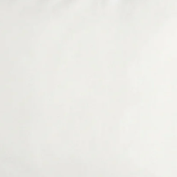 Niebla Andina