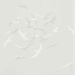 Gull