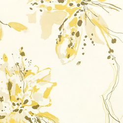 Acacia