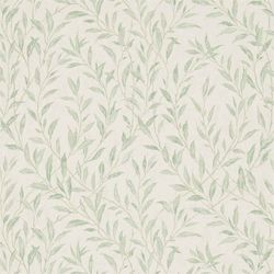 Willow & Cream