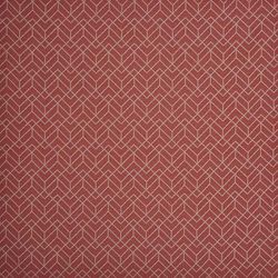 Cranberry