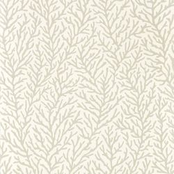 Awakening & Diffused Light