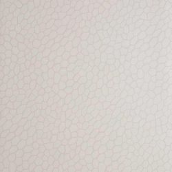 Parchment