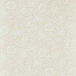 Cream Ivory