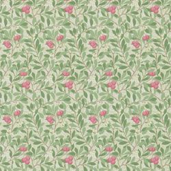 Olive & Pink
