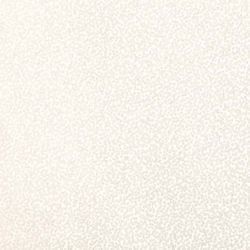 Whitewash