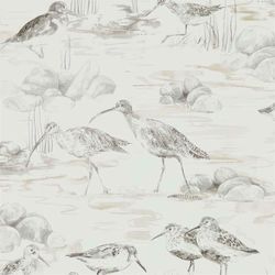 Chalk & Sepia