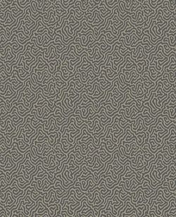 107/4017