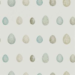 Eggshell & Ivory