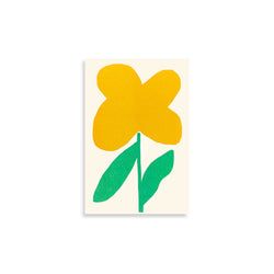 Style – Oxalis