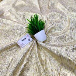 Colors – White Gold