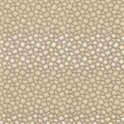 Color – Sandstone