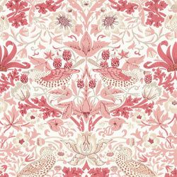 Color – Madder
