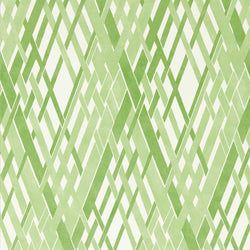 Color – Clover/First Light