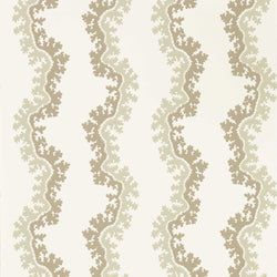 Color – Birch