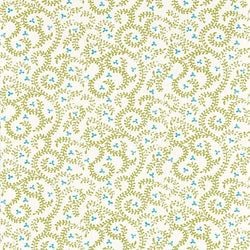 Color – Apple