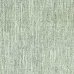 Color – Titanium