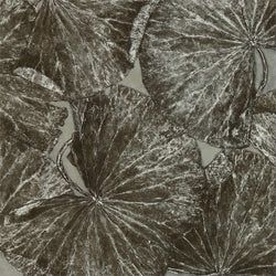Color – Fossil