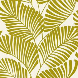 Color – Citrus