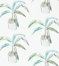 Color – Juniper / Lime