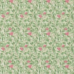 Color – Olive/Pink