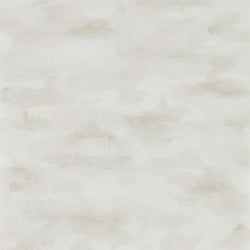 Color – Driftwood