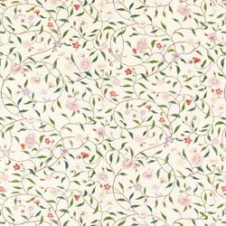 Color – Perfect White