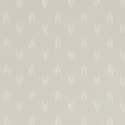 Color – Birch