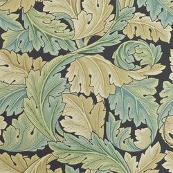 Color – Privet