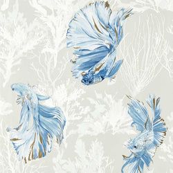 Color – Stillness/Indigo