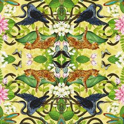 Color – Citron