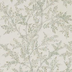 Color – Sage Grey