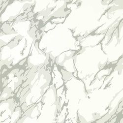 Color – Empire Grey / Perfect White
