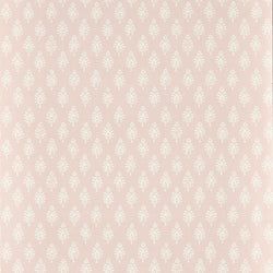 Color – Blush