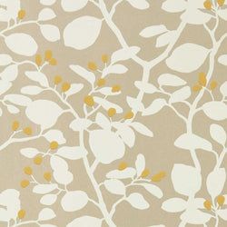Color – Soft Focus/Oyster/Gold